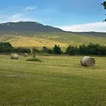 Boljuncica Villa *