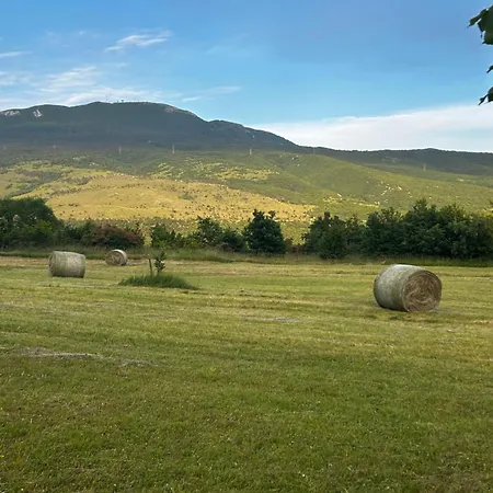 Boljuncica فيلة *