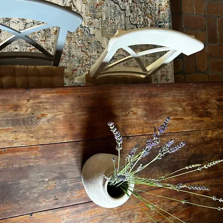 Willa Boljuncica Boljun