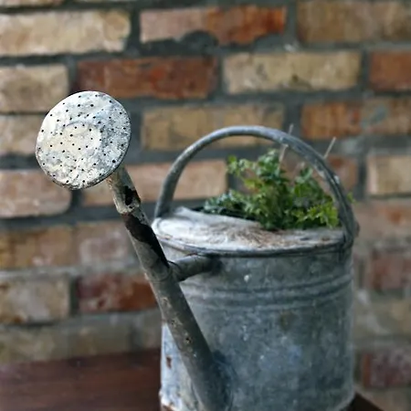 빌라 Boljuncica Boljun